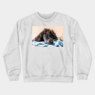 I'm so comfy Crewneck Sweatshirt